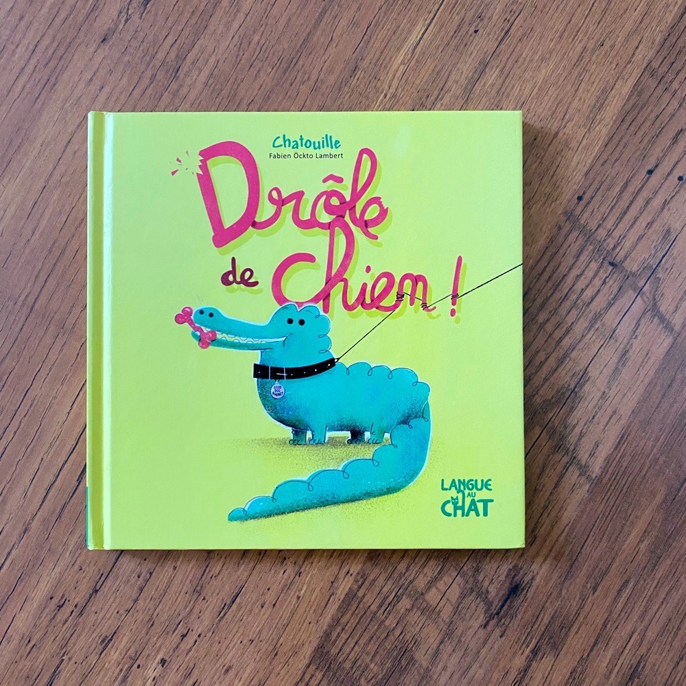 Drôle de Chien - children’ Book (French)